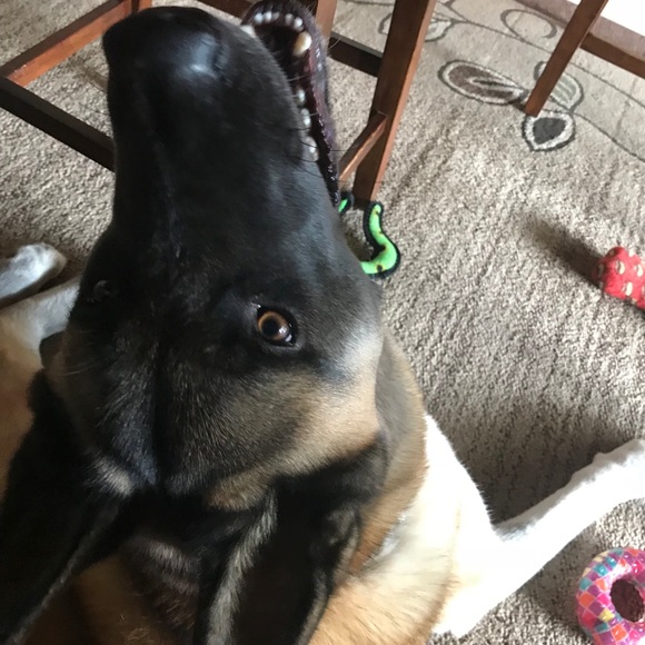 Meet your Posher, Kristen - Picture 11 of 13